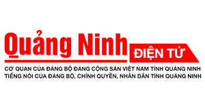 THỂ THAO 第18页